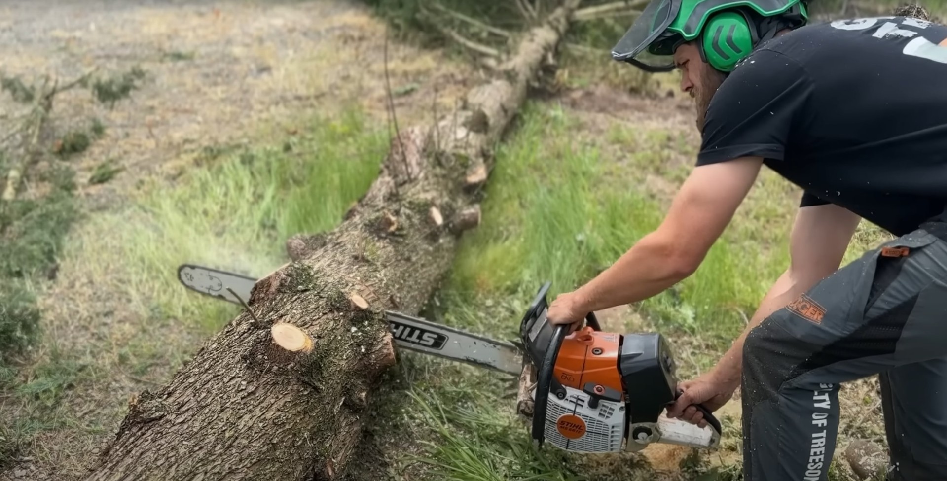 Professional tree service expert performing precise cuts Arborist using chainsaw for precise tree cutting in Daly City