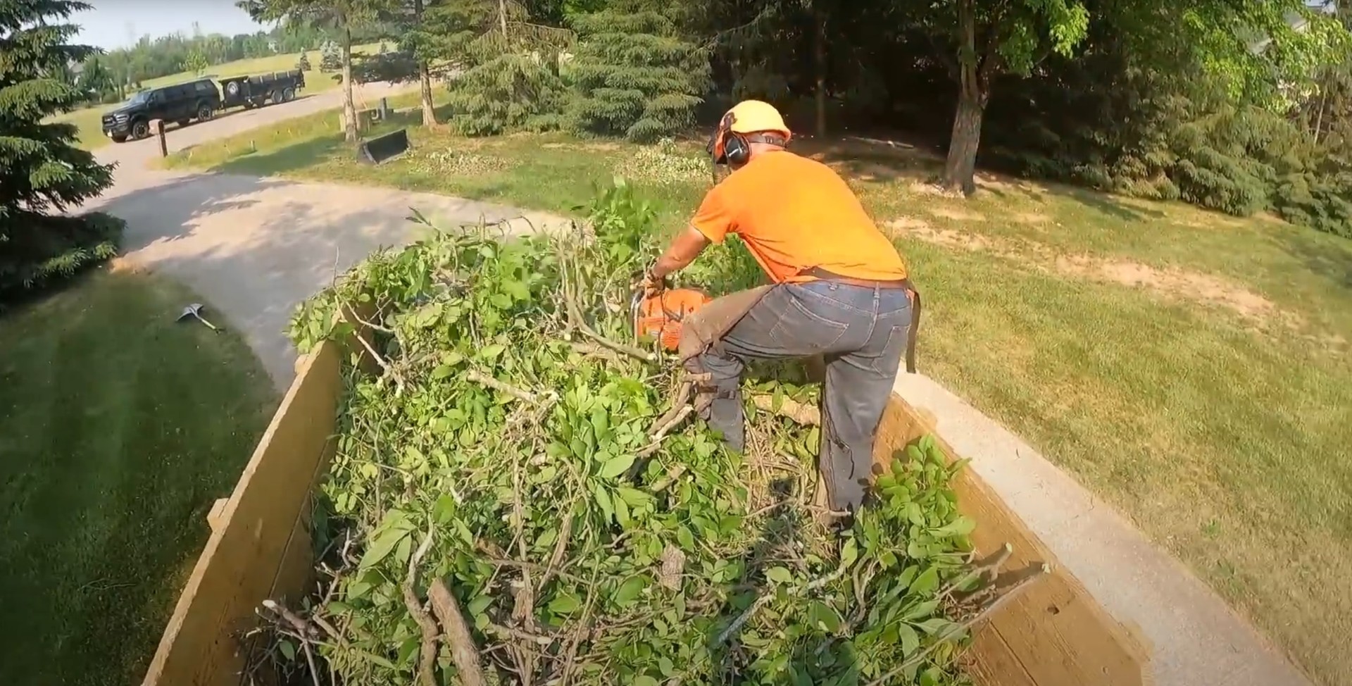 Expert tree cutting service in residential setting Tree service professional cutting large tree in Daly City yard