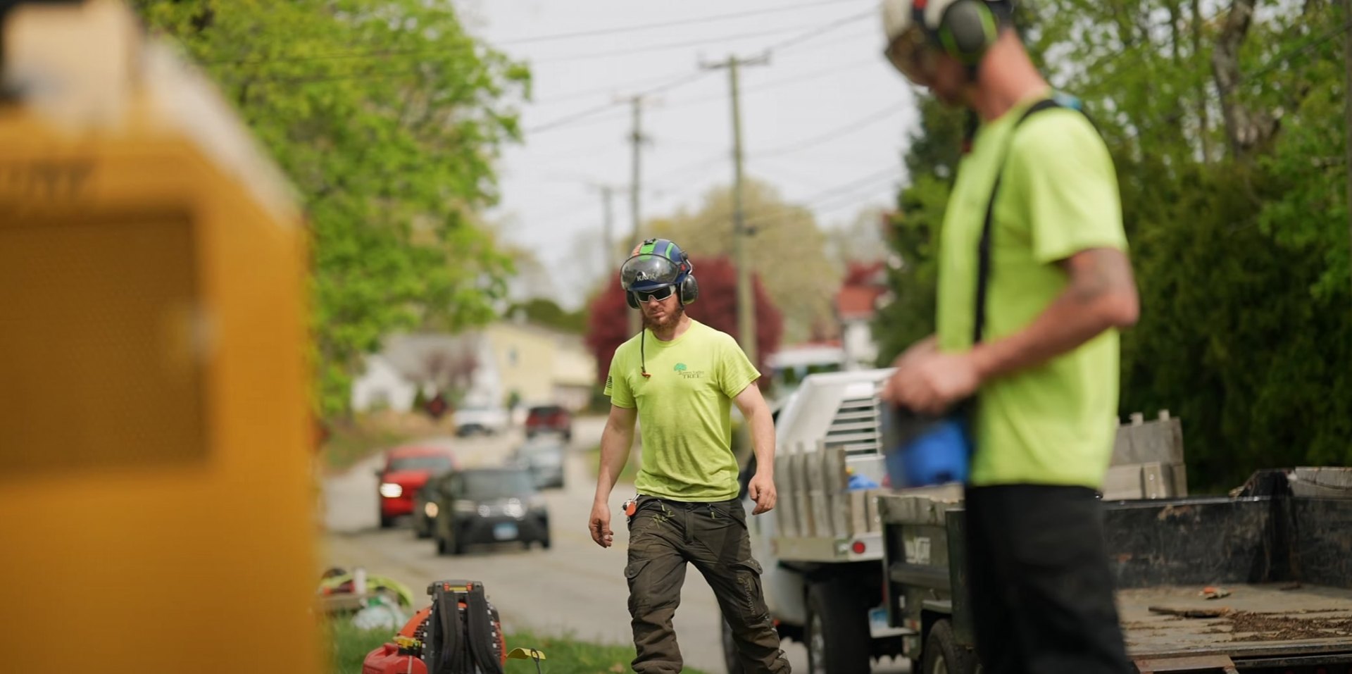 Professional tree maintenance team providing expert services Tree service crew working on residential property in Daly City
