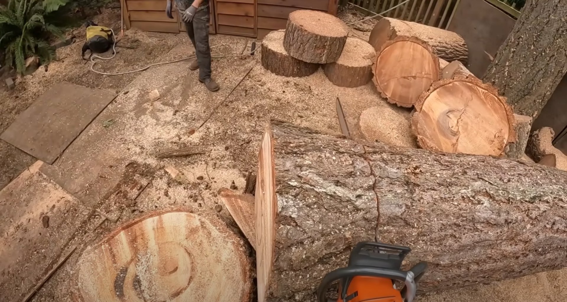 Complete tree processing and wood removal services Tree service crew cutting large tree logs and wood processing for complete tree removal service