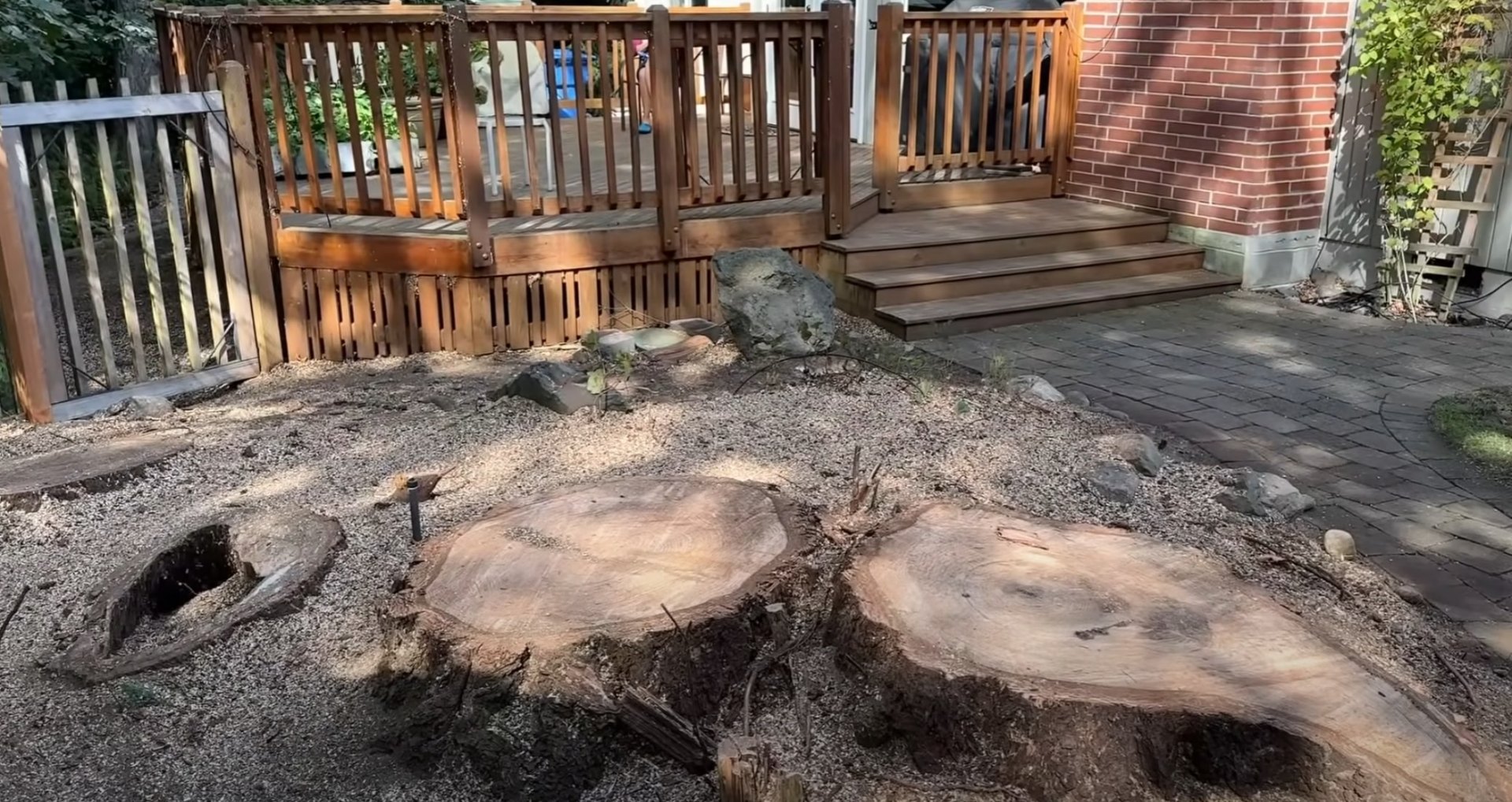 Professional stump removal preparing yard for landscaping Professional stump grinding results showing clean yard restoration after complete tree stump removal