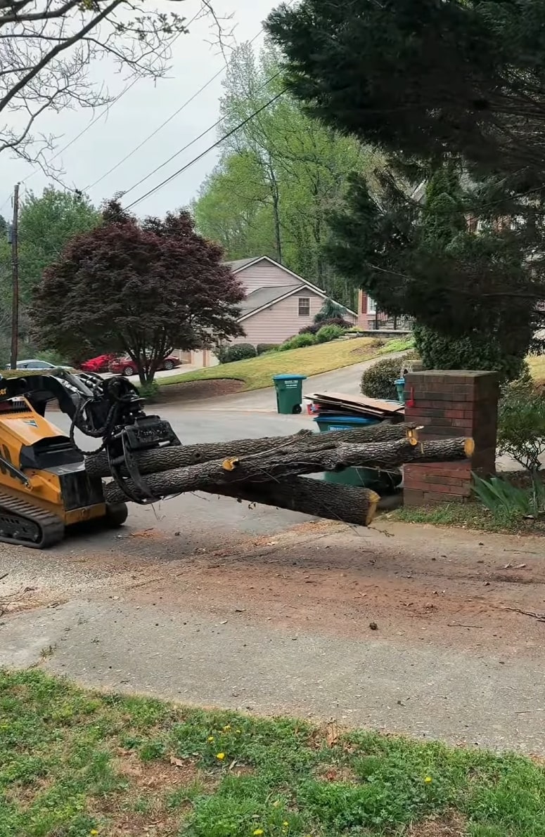 Professional tree removal and cleanup in residential settings Tree service crew removing large fallen tree trunk using heavy machinery in residential neighborhood