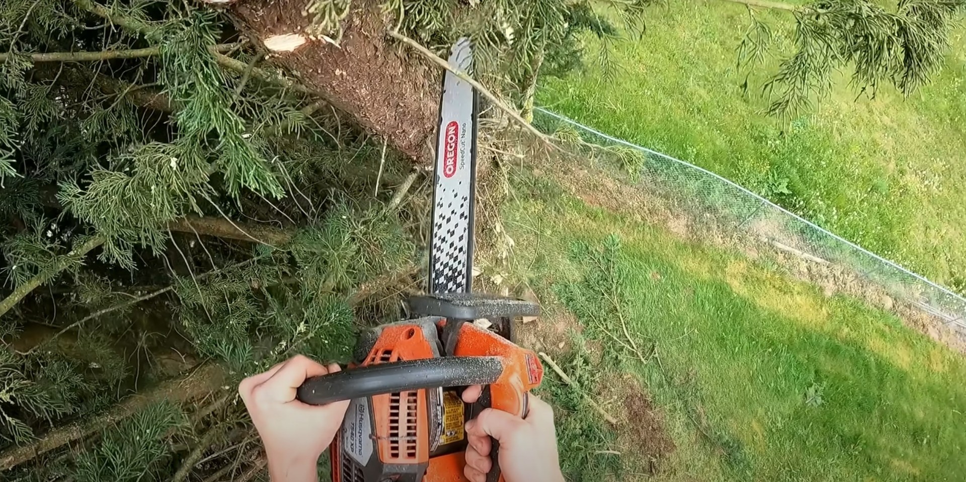 Expert tree trimming and pruning with professional tools Professional chainsaw operation for tree trimming and branch removal in residential tree care